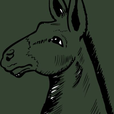 Animals Thumbnail