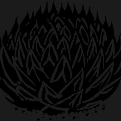 Plants Thumbnail