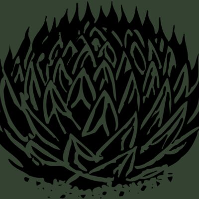 Plants Thumbnail